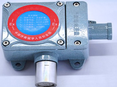 RBT-6000-Z型有毒气体探测器